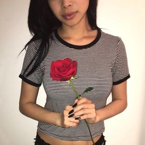 B R A N D Y  B A S I C